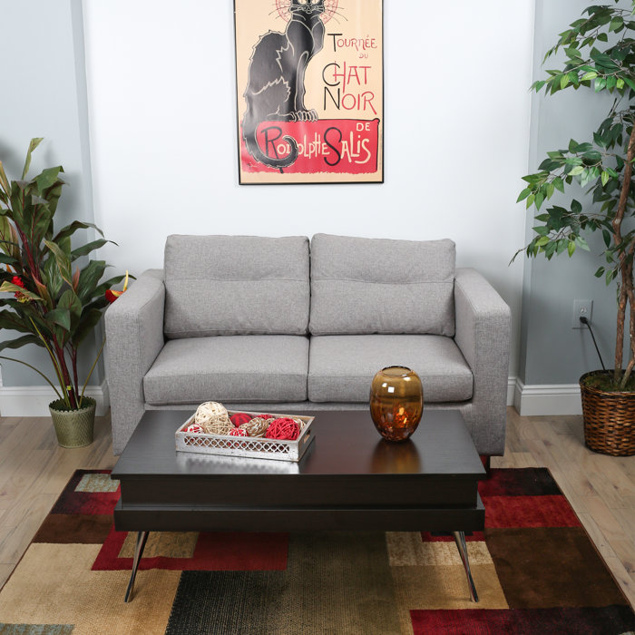 Wrought Studio Kitzmiller Lift Top Coffee Table with Storage & Reviews